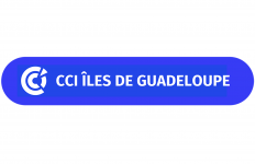 Logo CCI